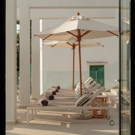 Ugljan Island, Curio Collection By Hilton