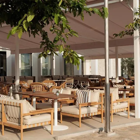 Ugljan Island, Curio Collection By Hilton